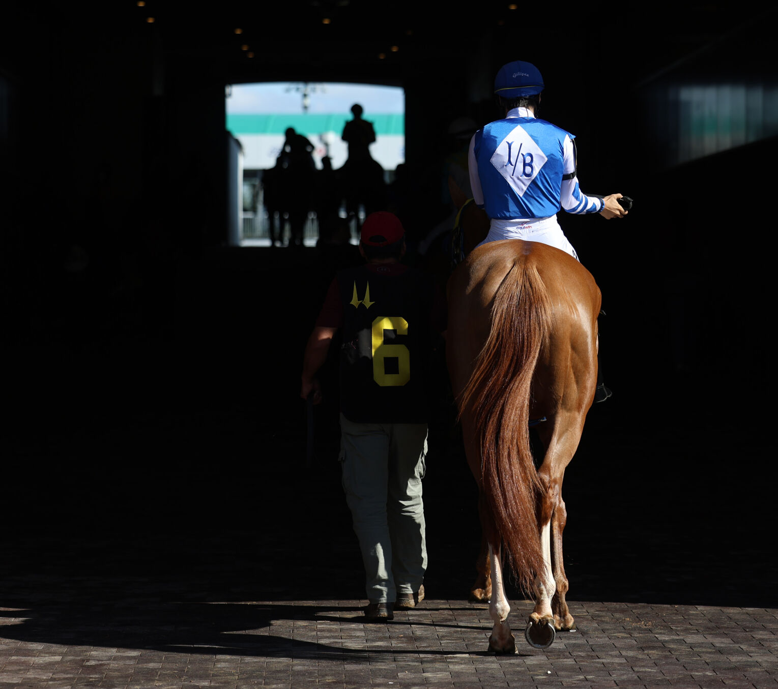 Horses walks to the track - April 26.JPG
